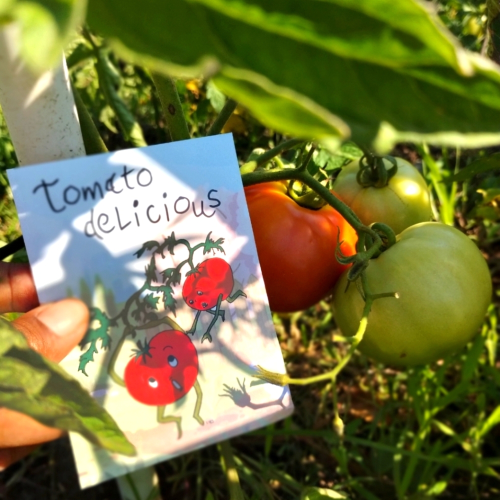 Garden seeds